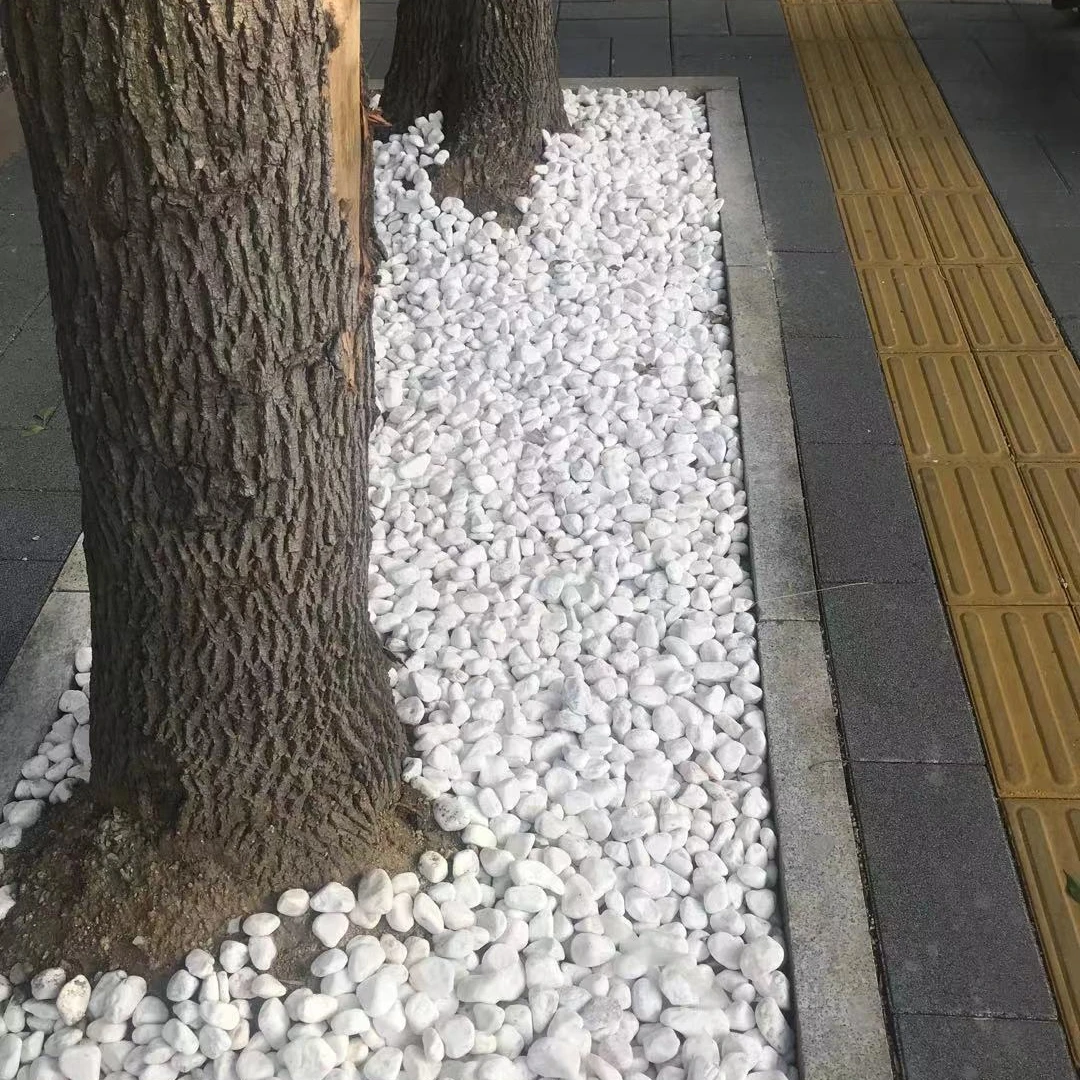 Изготовленная на заказ белая кварцевая садовая галька для продажи