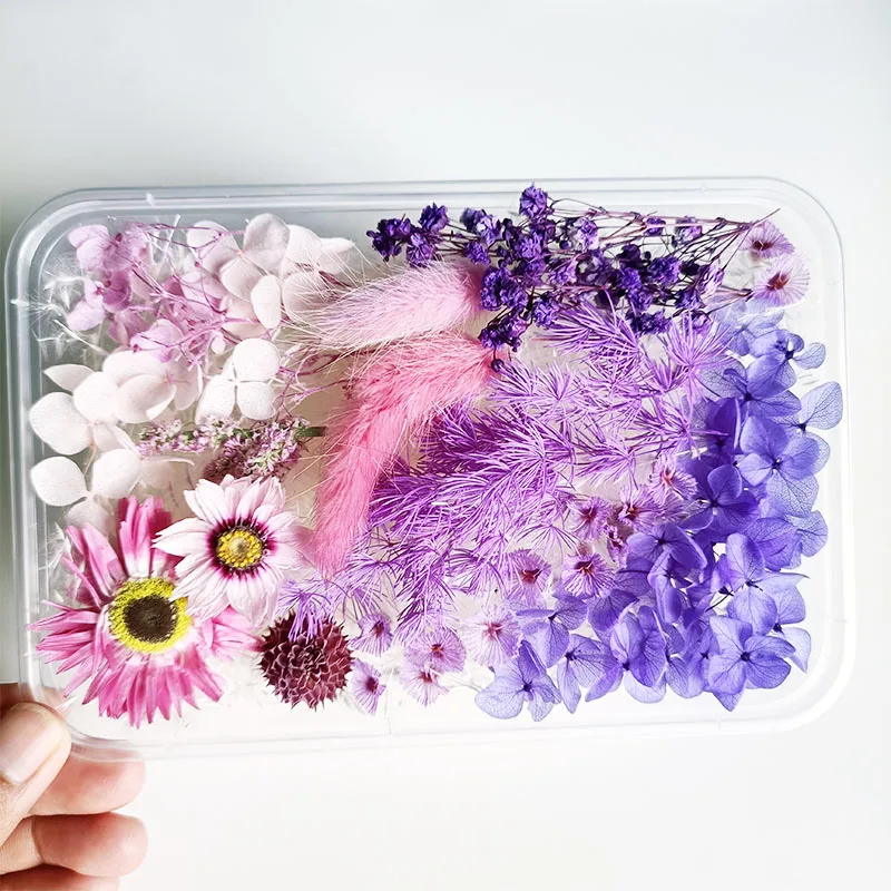 
Wholesale Cheap DIY High Quality Natural Dried Pressed Flower Mix for Handicraft Nail Decoration 