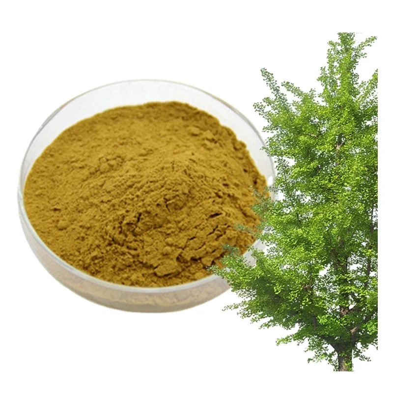 gmp dried leaves leaf gingko powder capsules pure Flavone Glycosides usp grade ginkgo biloba extract