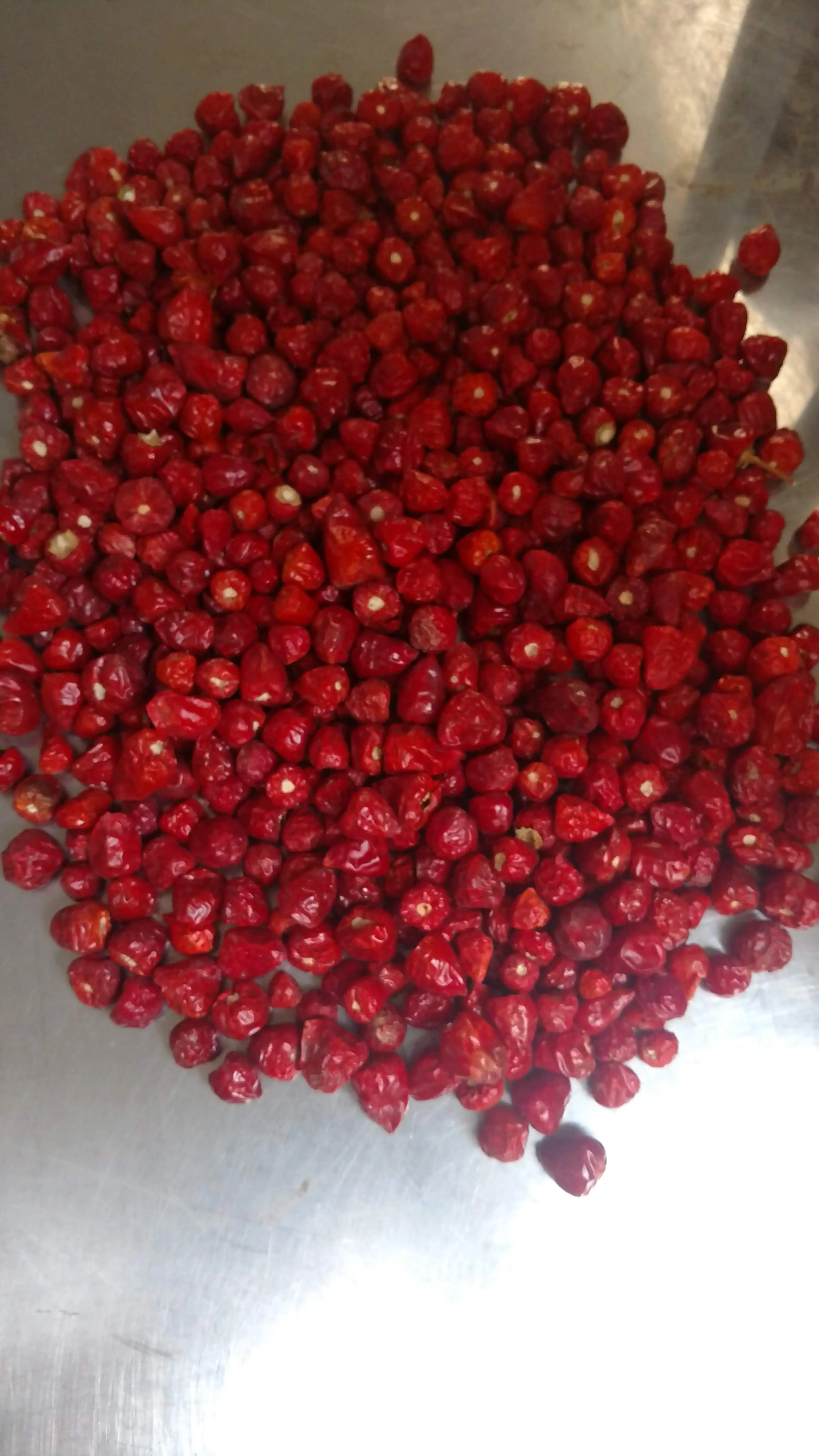 
Dried Red Chilli / Pakistani Chilli / Round chilli 