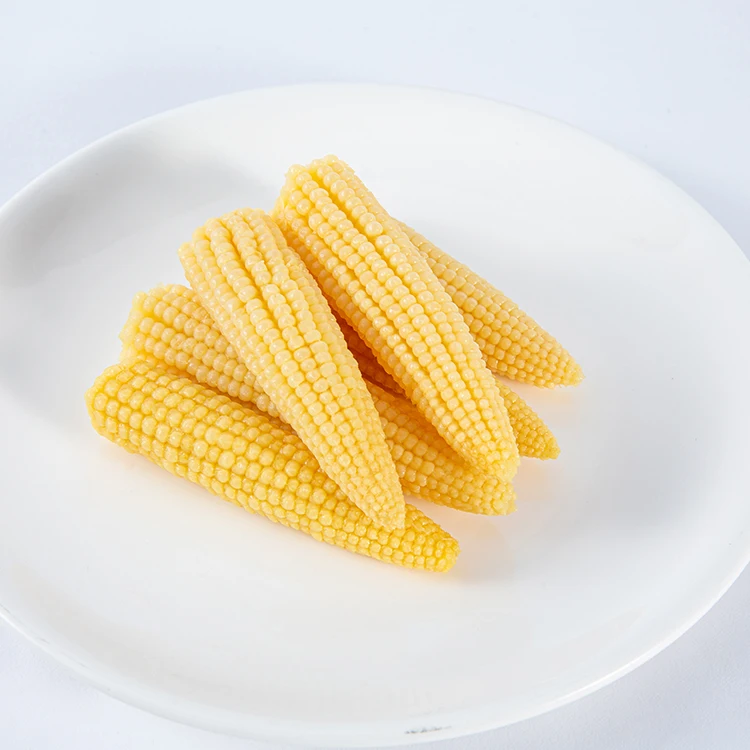 New season canned chinese yellow baby corn in tin in brine  low price & high quality