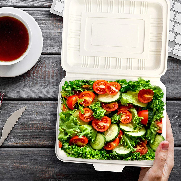1000ml Eco Friendly Lunch Box Cornstarch Food Container Disposable Biodegradable Cornstarch Clamshell for Food Packaging