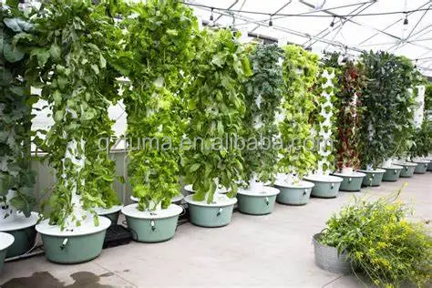 High quality hydroponic system customized hydroponic tower for agricultural greenhouse