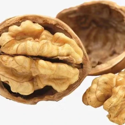 Wholesale Thin Shell Fresh Delicious High Quality Walnut Kernels And Thin-skinny Walnut With Shell In Bulk Walnuts
