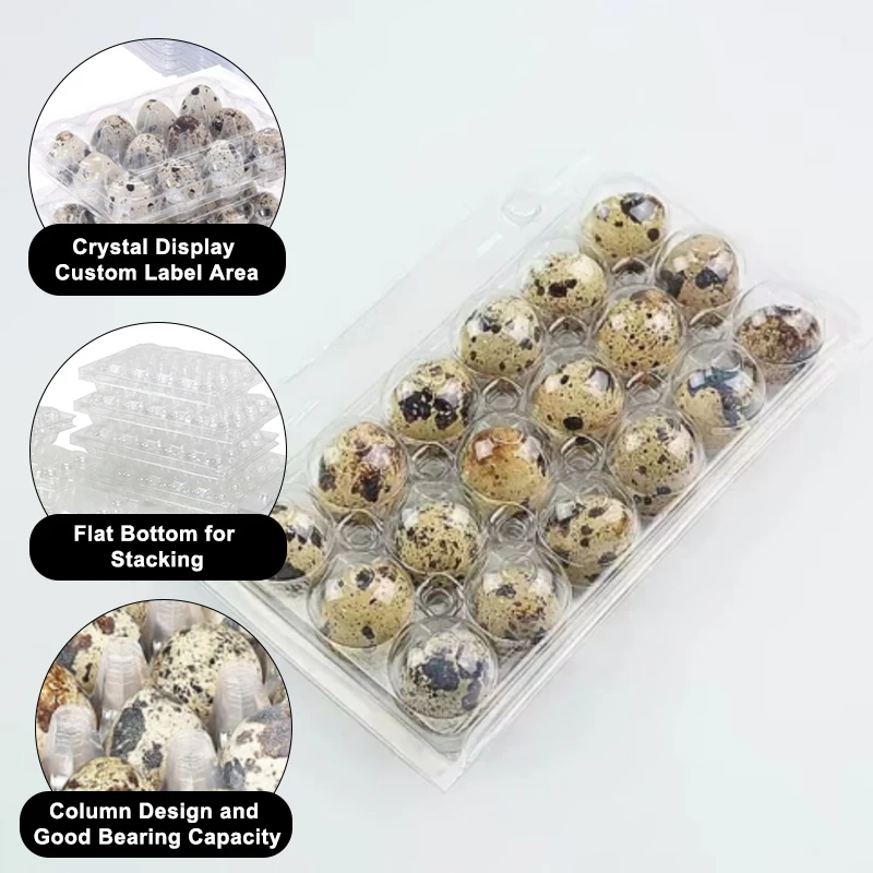 Plastic Quail Egg Cartons 18 Holes Quail Egg Tray 18 Quail Eggs Tray Manufacturer