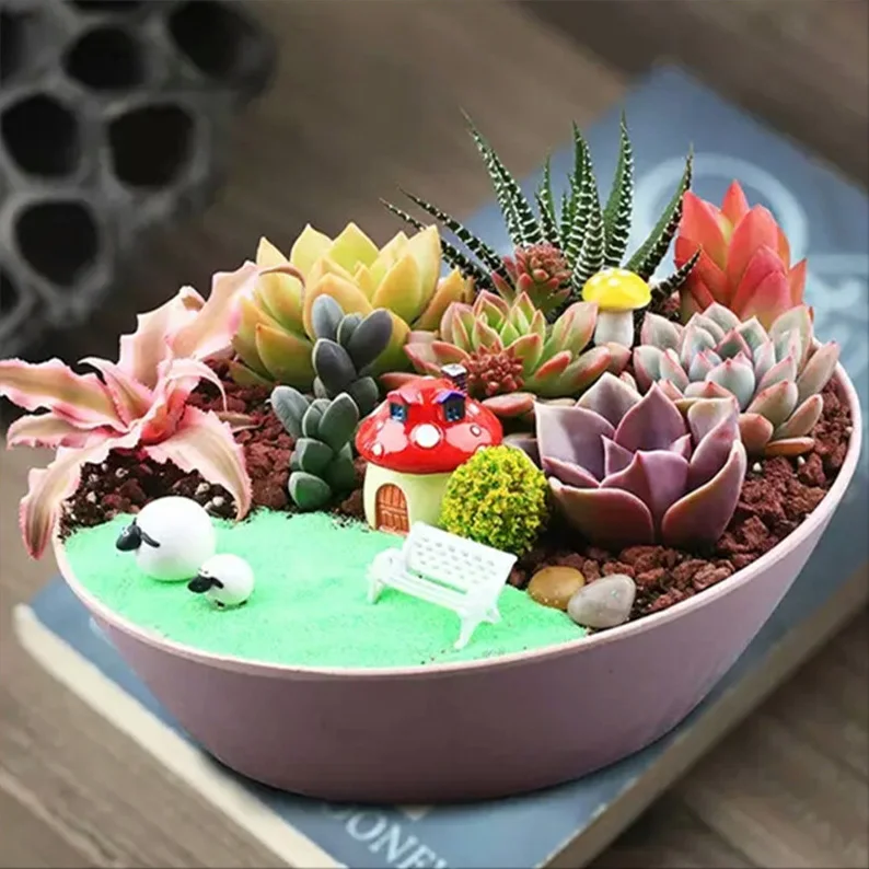 colorful decorative flower pots korean succulent combination flower pots