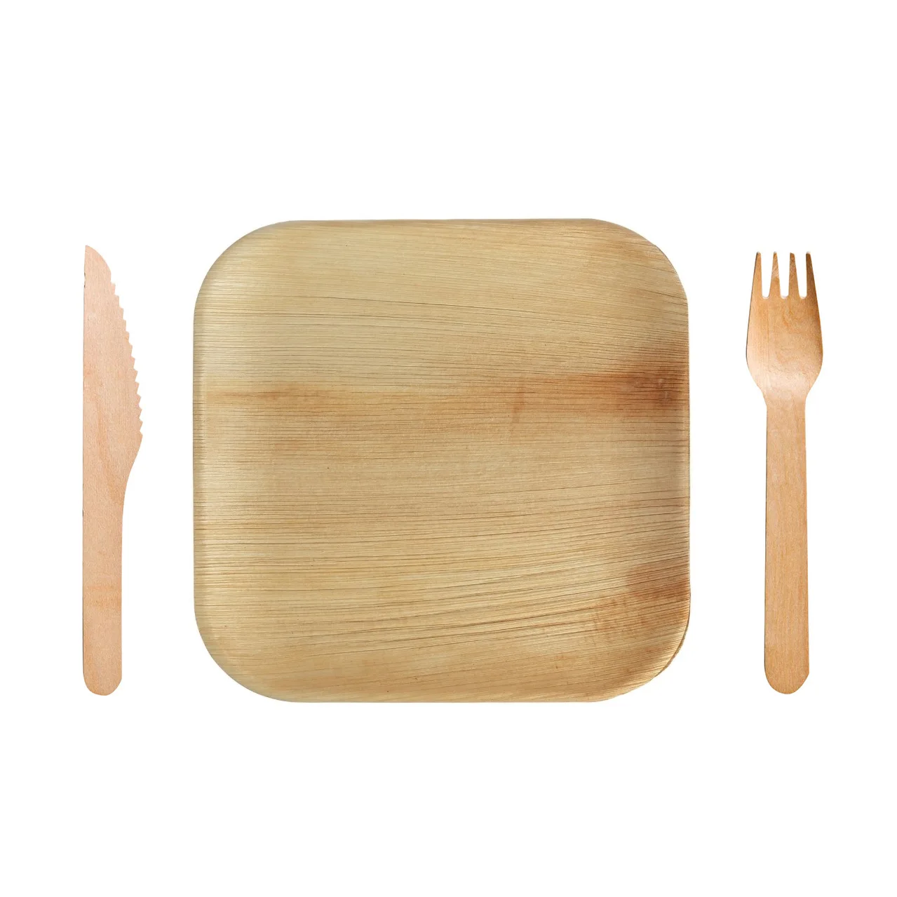 Disposable Biodegradable Palm Leaf Tray with Fork Knife, Natural Areca Palm Leaf Plates Round Square Set