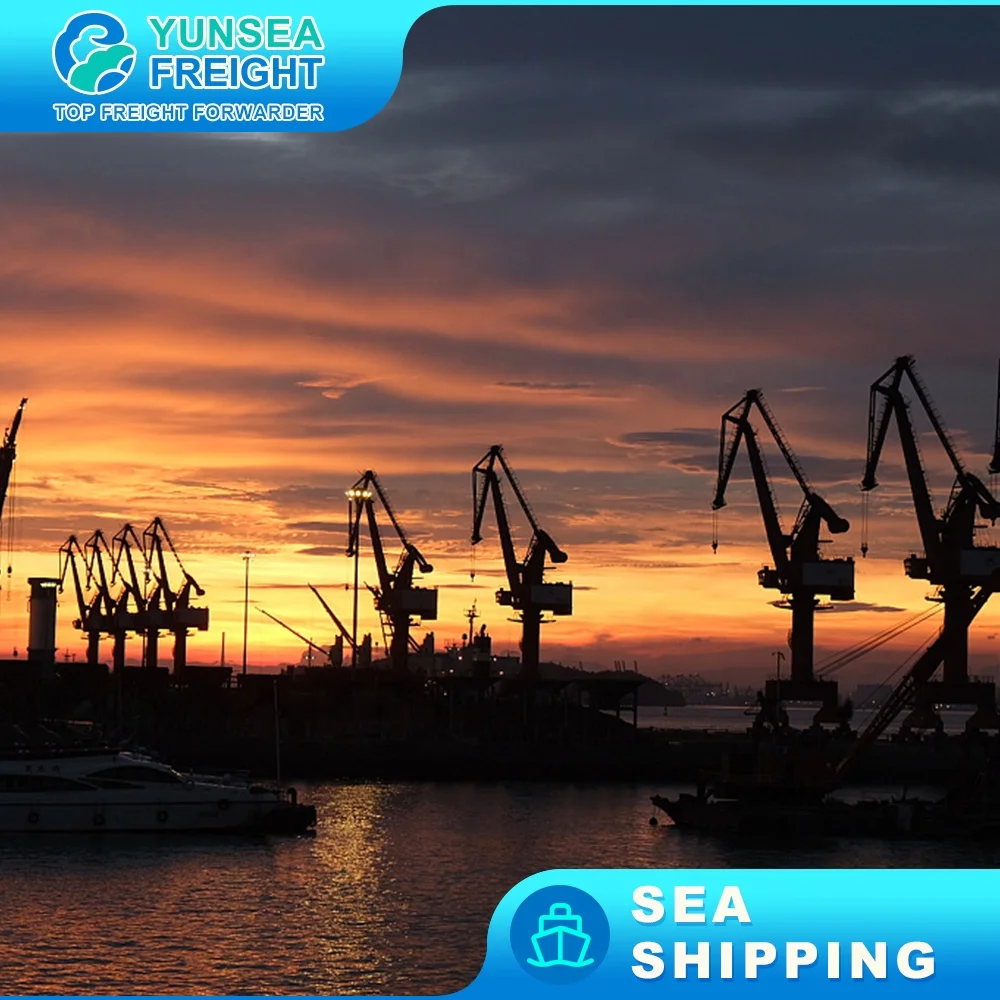 Cheapest Rates Logistics Agent Fba DDP Sea Freight Forwarder From China