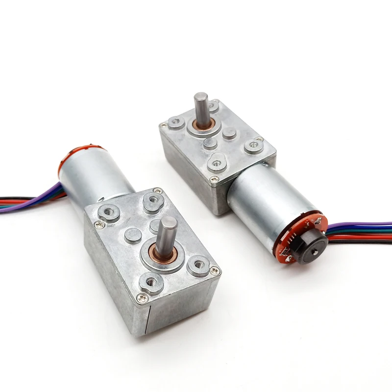 10kg.cm high torque low rpm dc gear motor TWG3246-370CA worm gear motor for smart home appliance