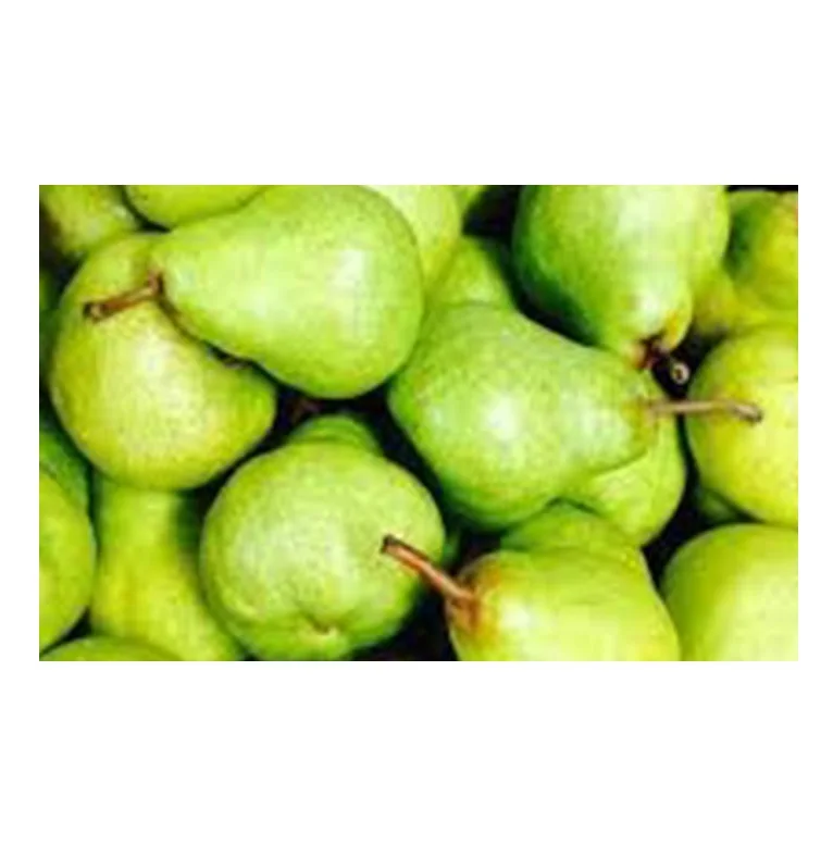 Южная Африка супер качество свежие PACKHAM TRIUMPH PEARS