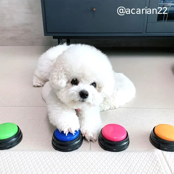 
Free sample custom led flashing sound button recordable buzzer talking for education Toys 