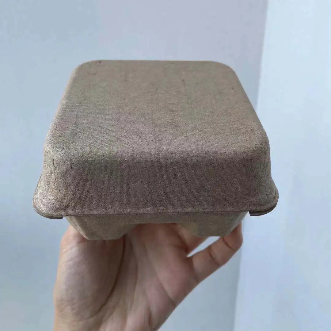 Custom molded pulp clamshell  paper box for small items biodegradable packaging box of recycled paper