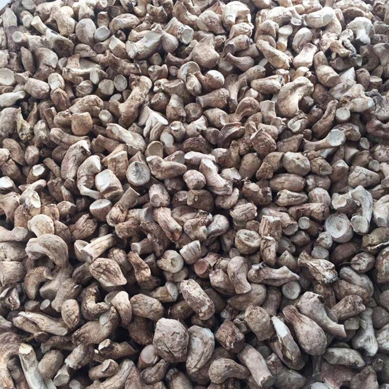 Manufacturer Supply High Quality Instant Food Shitake Mushroom Delicious Snack Dried Shiitake Mushroom