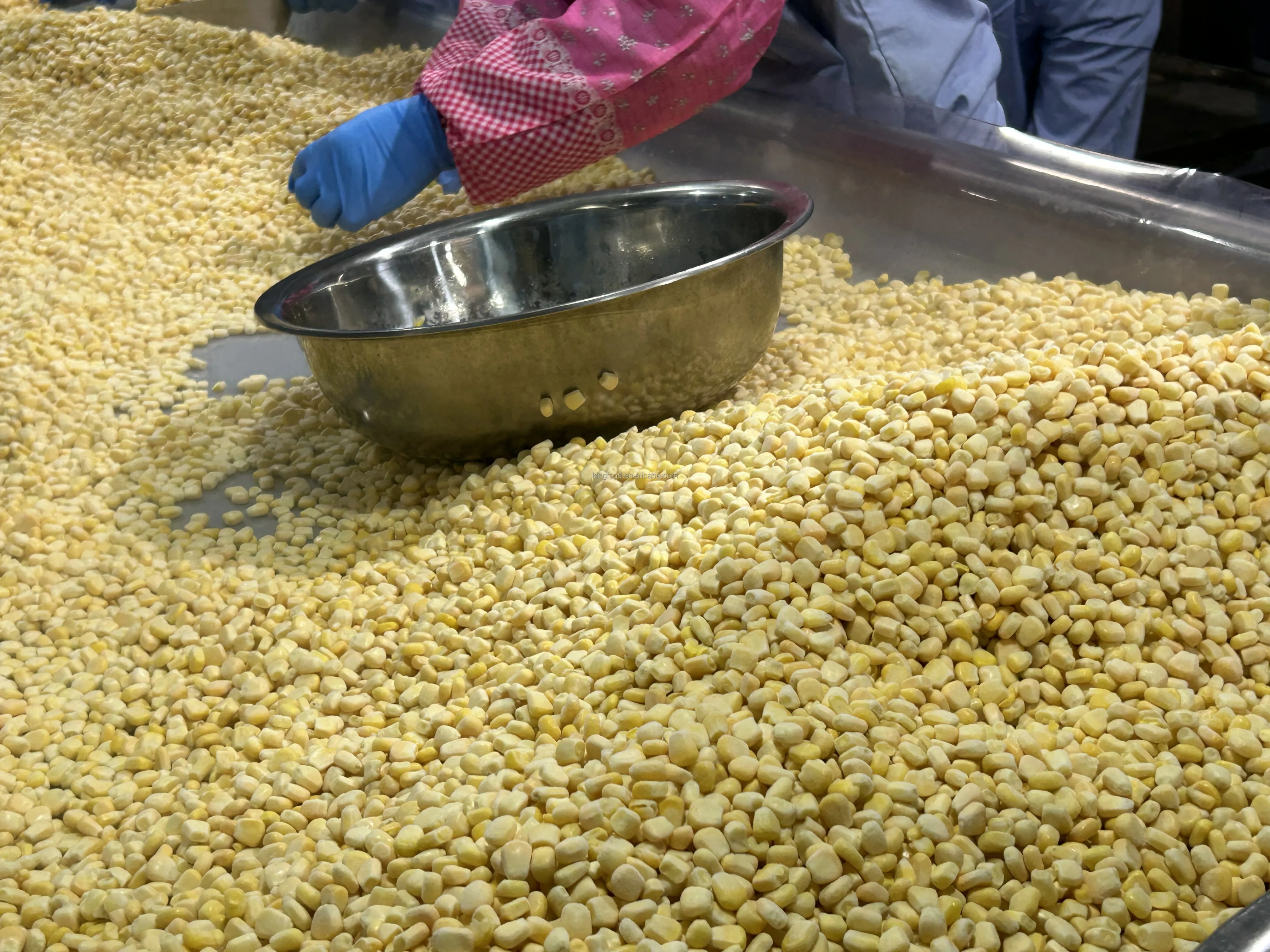 Замороженное ядро сладкой кукурузы для продажи