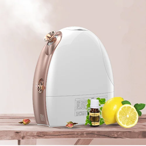 2 In 1 Cold And Warm Facial Steamer, Professional Moisturizer Facial Steamer