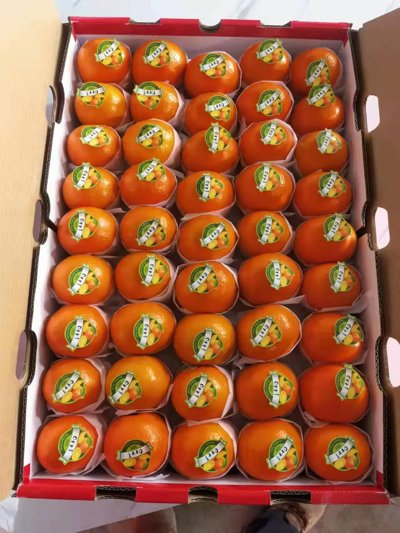 New Citrus Mandarin New Crop Fresh Juicy Orange