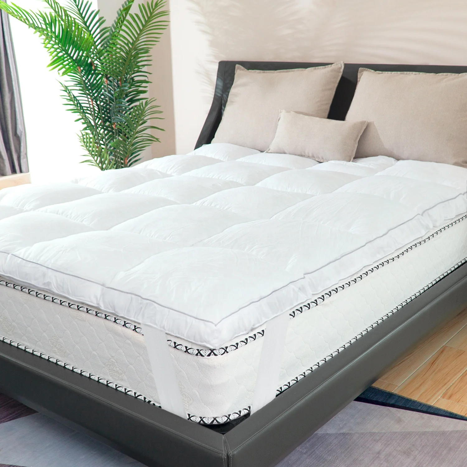 
Euro Queen King Size Compress Pocket Spring Memory Foam Bed Mattress Cotton OEM Knit Plush Wool Fabric Packing Furniture Organic 