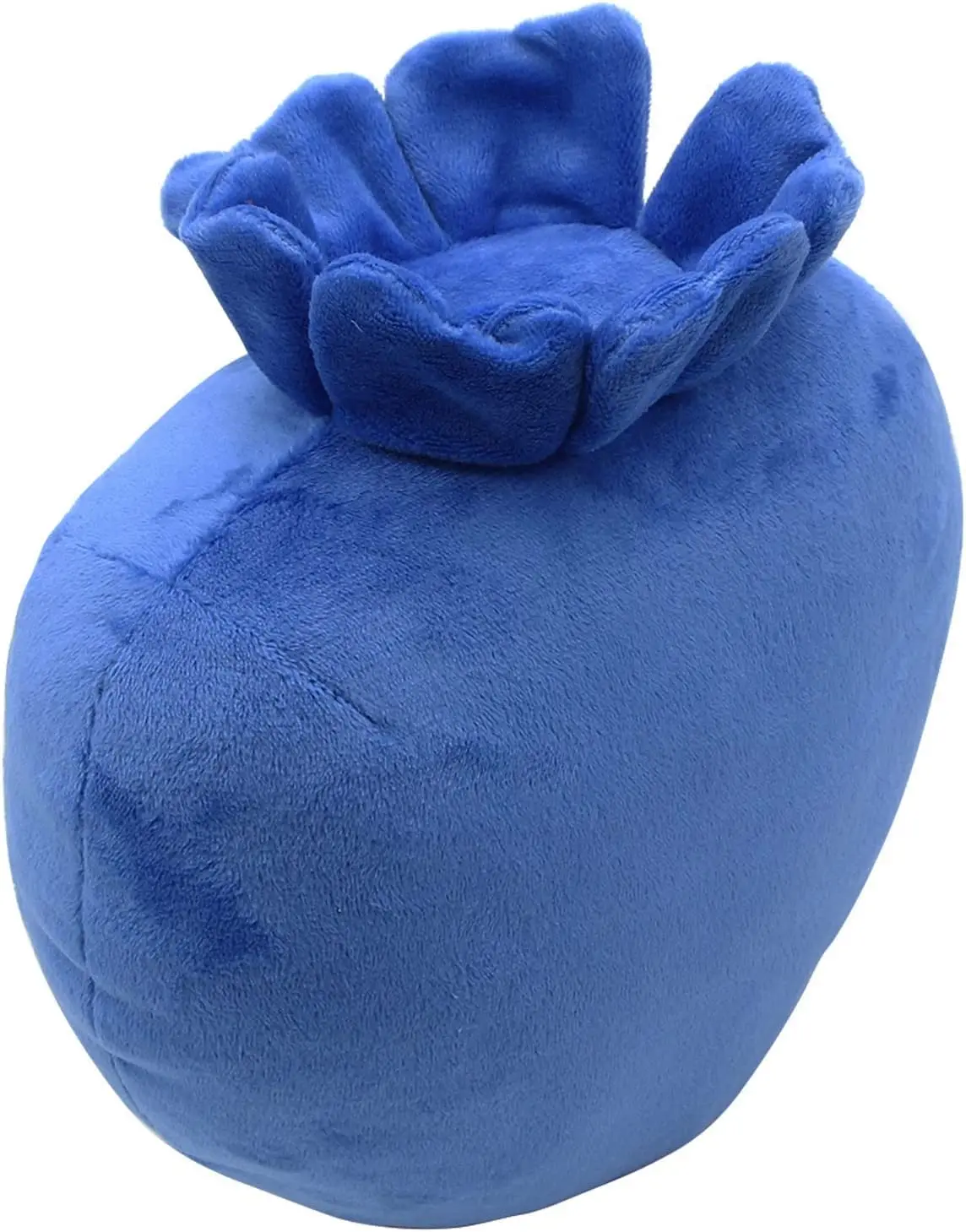 Kawaii Blueberry Plush Stuffed Toy Soft Fruit Plushie Pillow