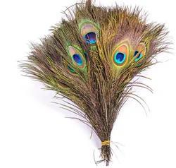 Factory Wholesale Big Eye Natural Peacock Feather Peacock