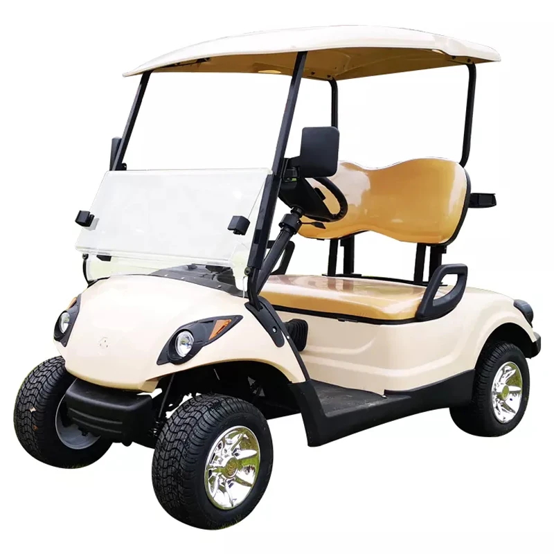 OT2806 newest hot sale cheap 2 seats gas powered golf /buggy carts price