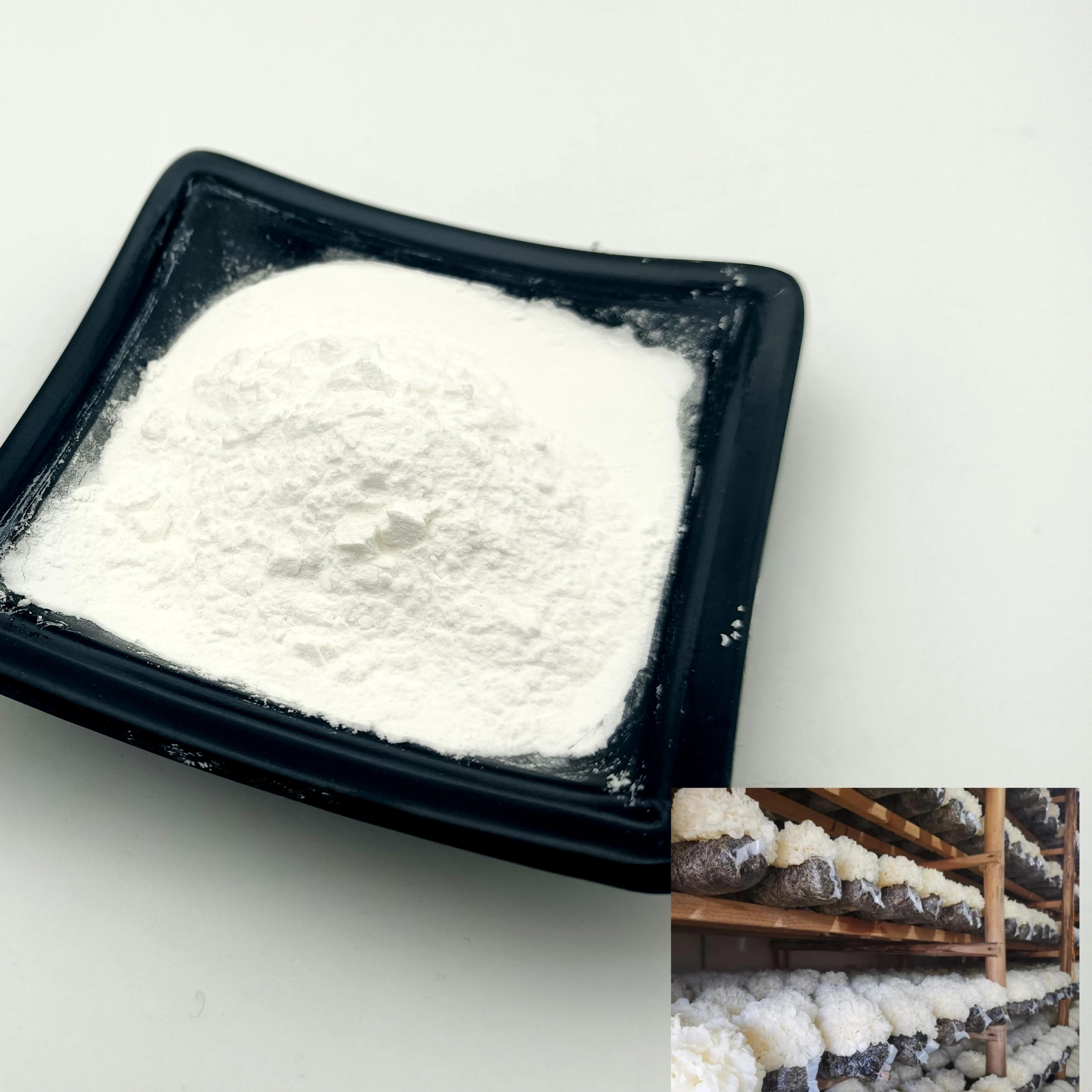 OEM/ODM Oganic collagen antiaging snow fungus powder tremella fuciformis mushroom extract