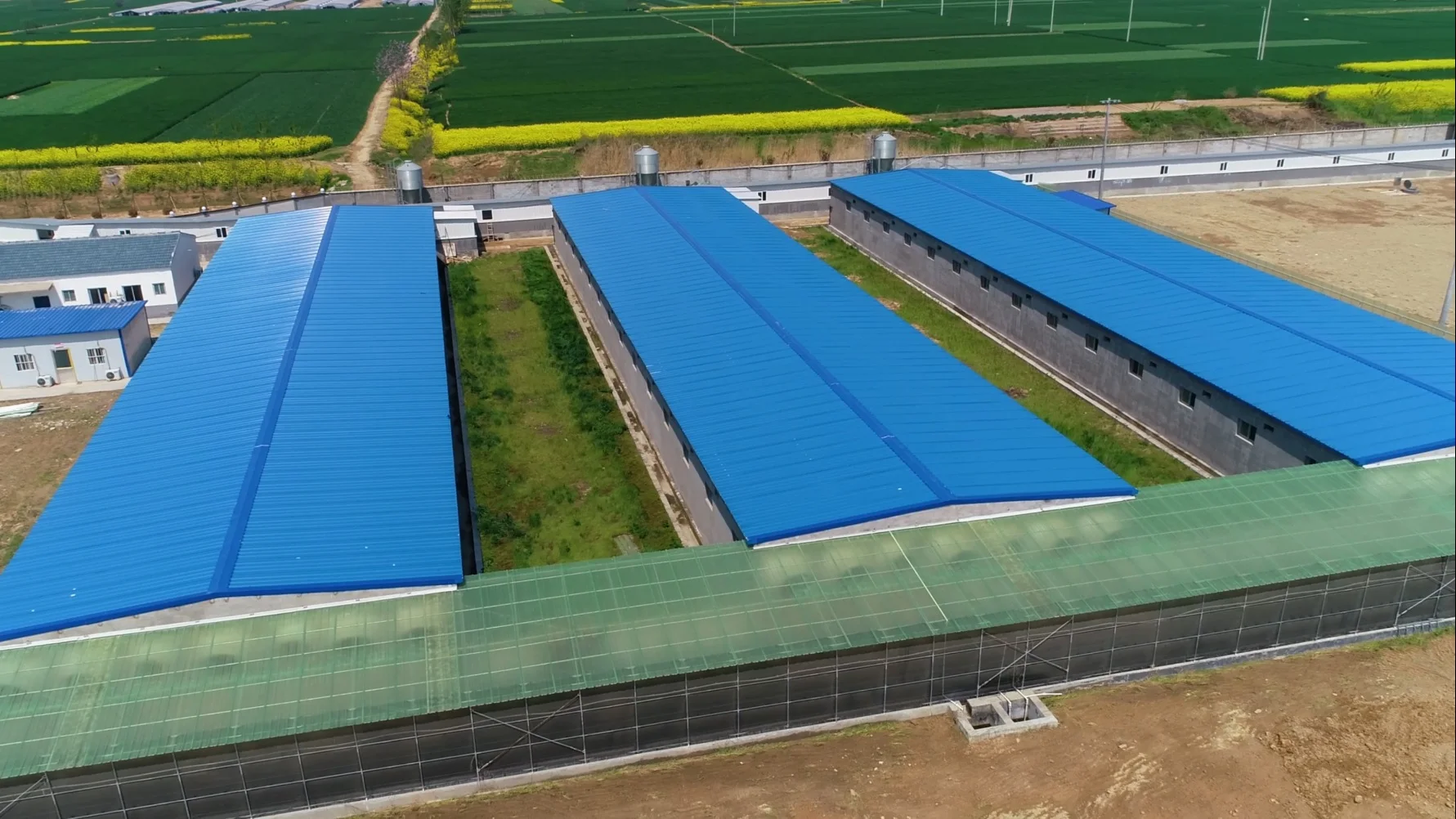 Cheap Construction Steel Structure Shed Poultry Farm Chicken House For Sale Commercial Egg Chicken House