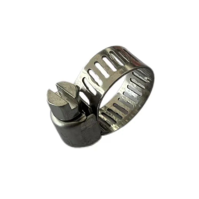 Wholesale Hardware Fasteners stainless steel beer hoses 8mm bandwidth American type hose clip