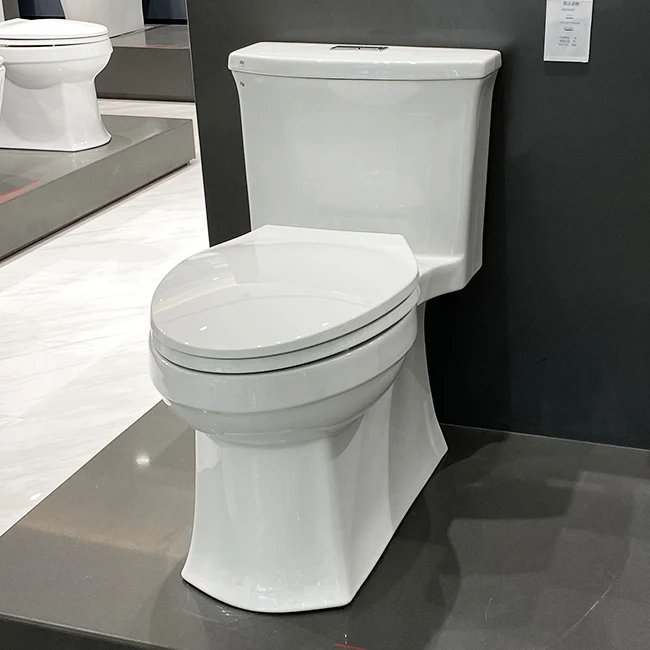 Huida construction project floor mounted middle-end Dual flush One-piece Toilet DSC7410
