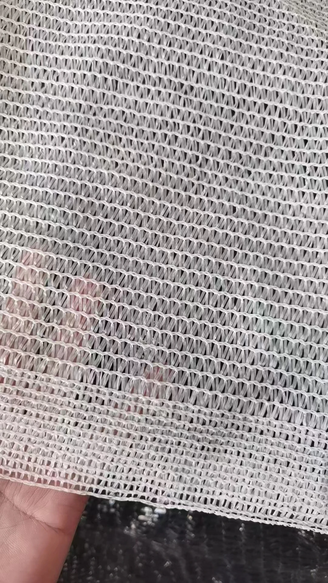 white shading net.jpg