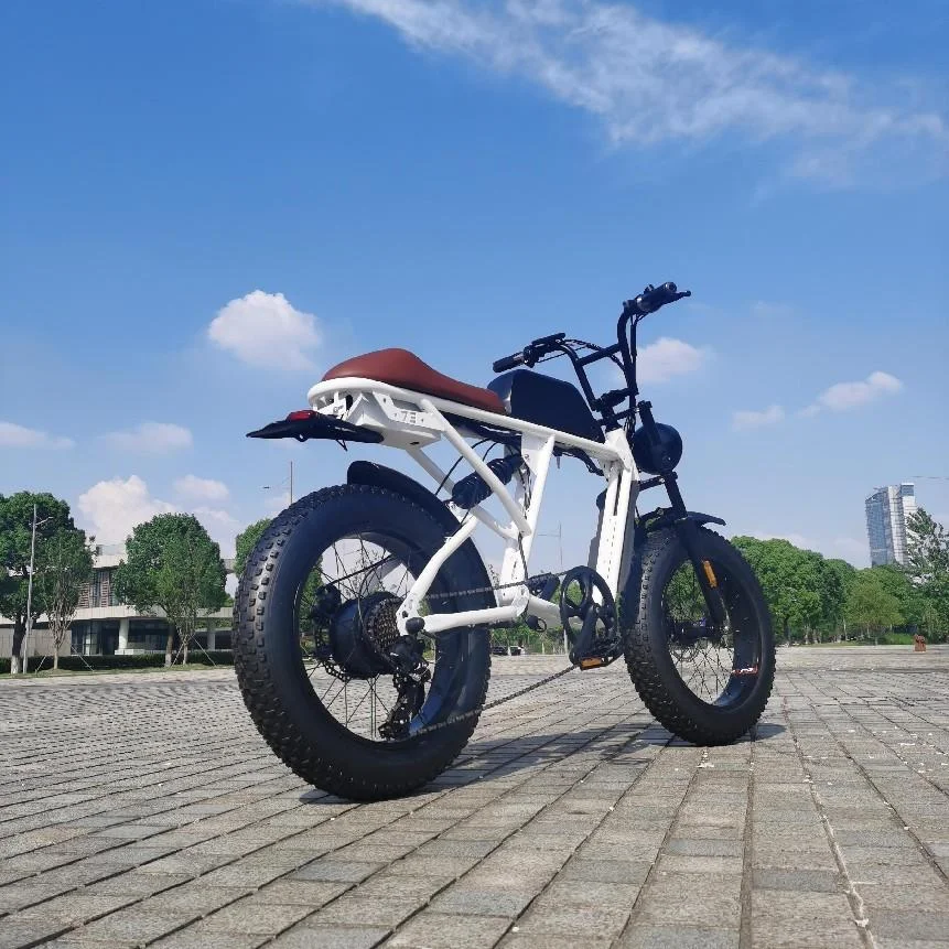 1000 Вт 48 в супер толстые шины 73 ретро Электрический велосипед Ebike Быстрая доставка большой радиус действия 21