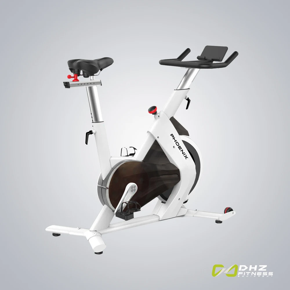 Recumbent Cycle Indoor Bicycle Exercise Bike Buy Home Spin Fitness Trainer Spinning Training Magnetic Equipment For Homegym Gym