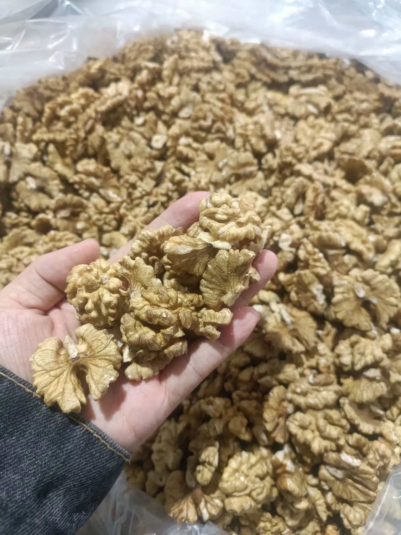 Excellent quality Thin-skin Raw Walnut with shell in bulk wholesale