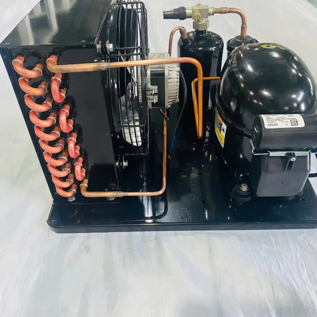 12V/24V DC Freezer condensing unit with various brand compressor