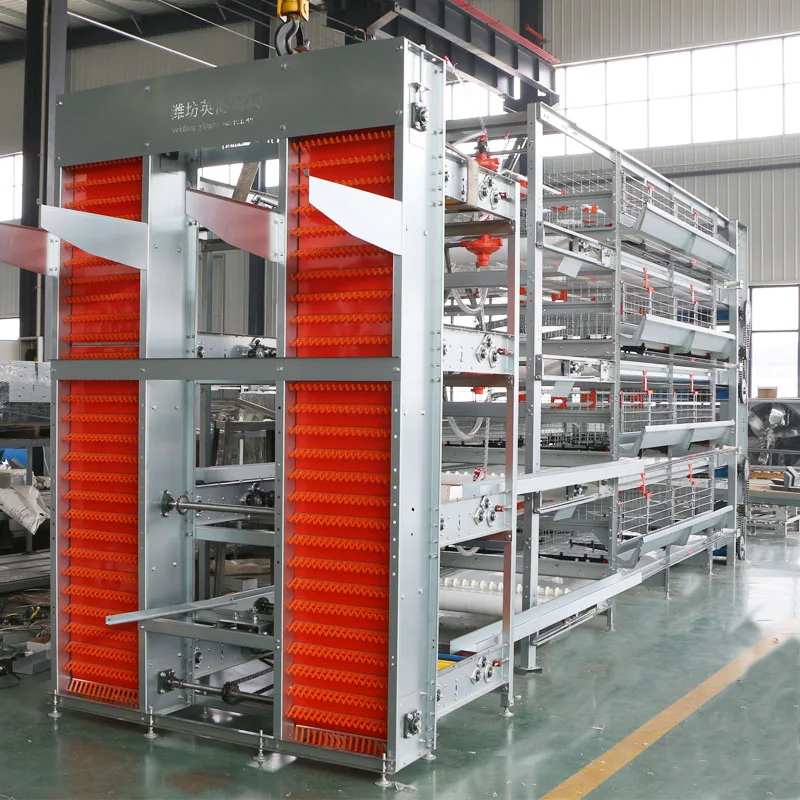 Best sale H type chicken cage for layer chickens in China