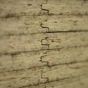 Wholesale Price 4x8 11mm 15mm 18mm Yellow Tongue and Grooved OSB Floor Board