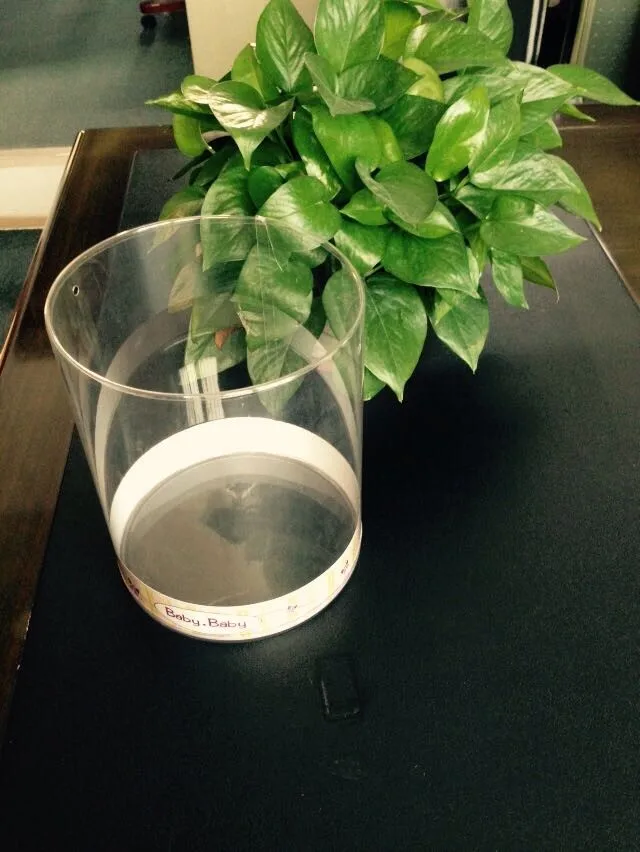 Hot Sale Custom Cylinder Plastic Packaging Tube with Lid & Printed Logo