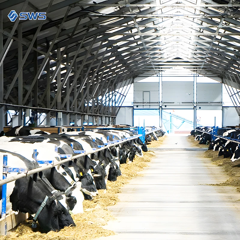 Коровий сарай для фермы Коровники приют коз легкие стальные конструкции конструкция