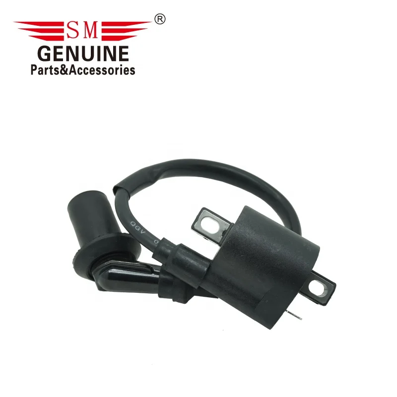 RTS Motorcycle ATV spare parts and accessories systems ATV150 ATV180 150CC 180CC 150 180 motorcycle ignition coils