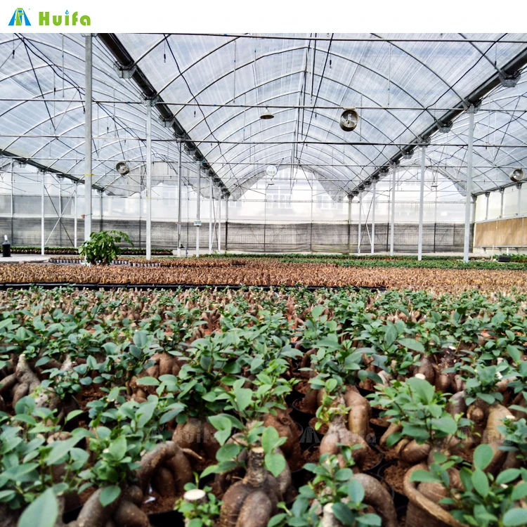 Hydroponic Growing Systems Greenhouse Fertigation System Agricultural Greenhouse Morocco