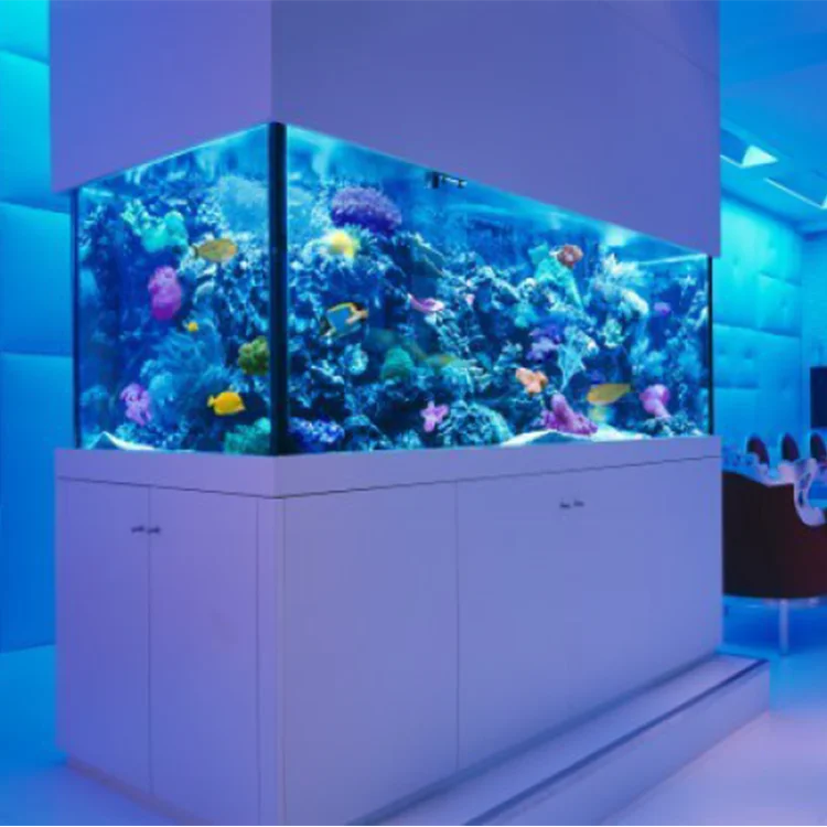 Manufacturer Direct Sale Good Price Large Fish Tank Clear Acrylic Betta