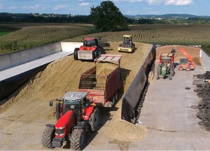 5.5 Mil 6 Mil 10 Mil Thick 10 X 100 Polyethylene Panda Film Black White Plastic Sheeting Roll