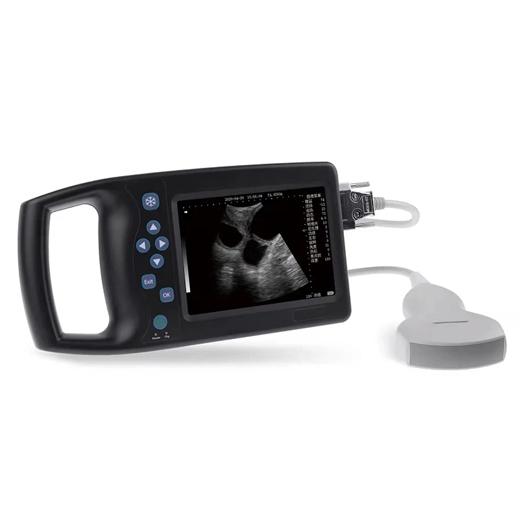 A6 VET High Definition Ultrasonic Portable Cattle Diagnostic Machine For Animals Pet Veterinary Ultrasound Probe