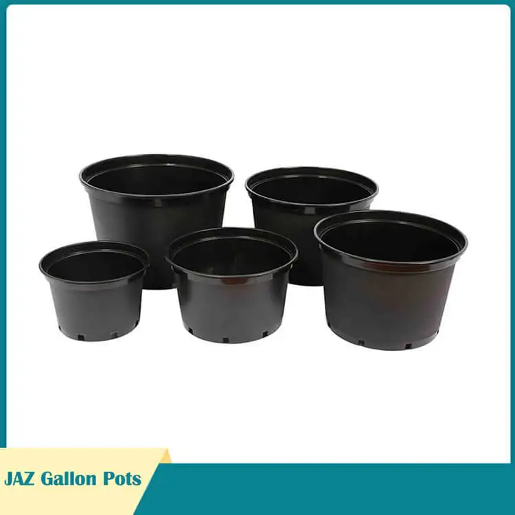 Factory Oem 1 2 35 7 10 12 15 Gai Black Gallon Trade Flower Pot For Seeding