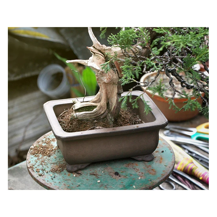 Japanese wood flat handle chisel with compact and light weight features