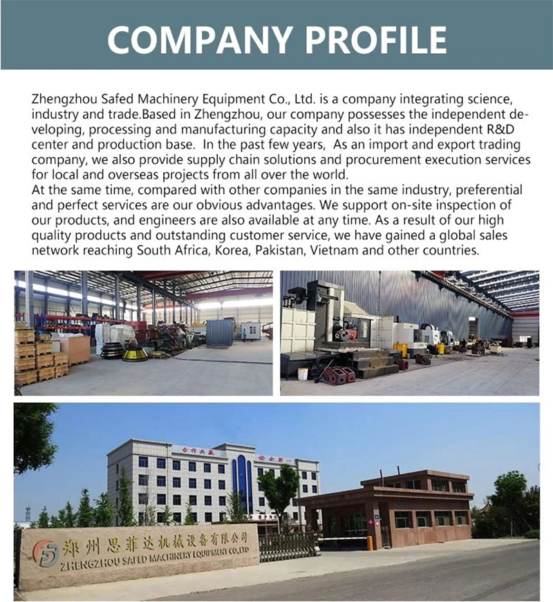 company profile.webp