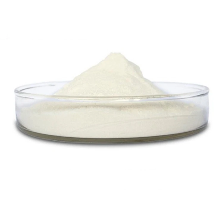 Proper price new design popular product white probiotic powder
