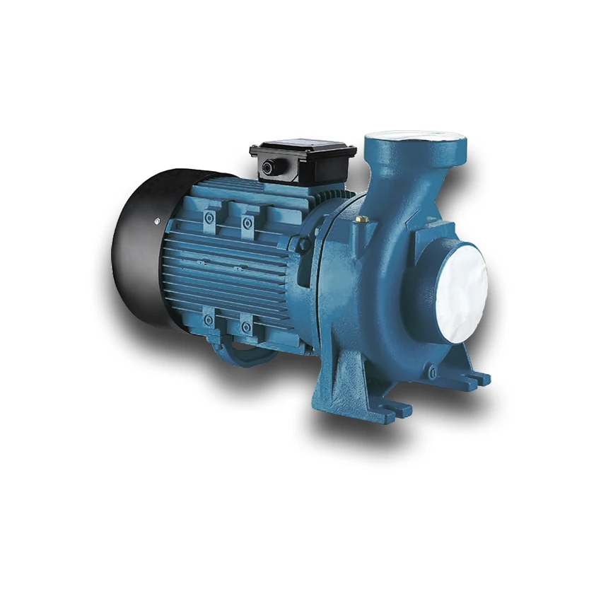 2 hp - 10 hp High Efficient Surface Pump Draw Water Dewatering Electric Pump BP-203