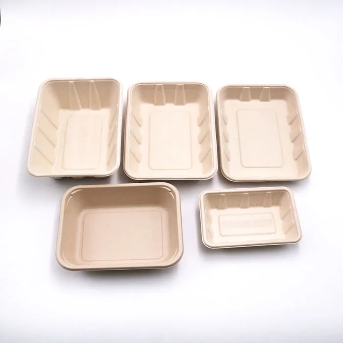 disposable sugarcane bagasse food tray with plastic cover lid