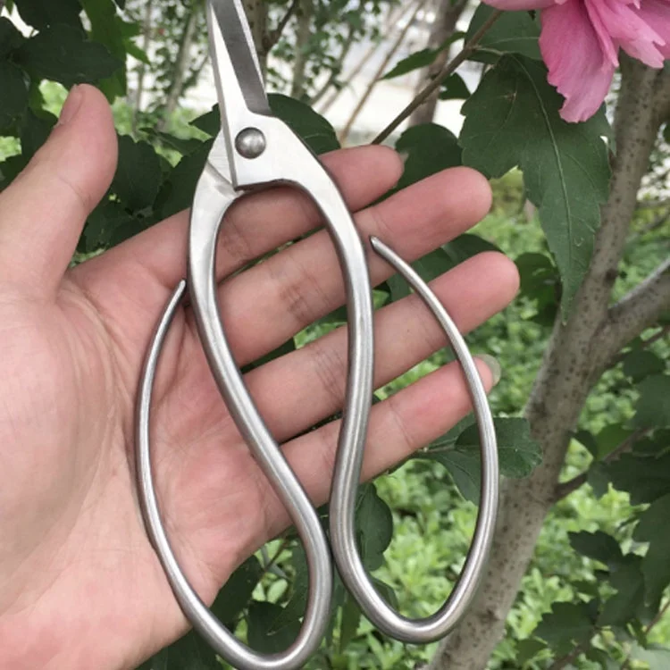 
Professional High Quality bonsai scissor pruner scissors garden,Herb floral scissors 