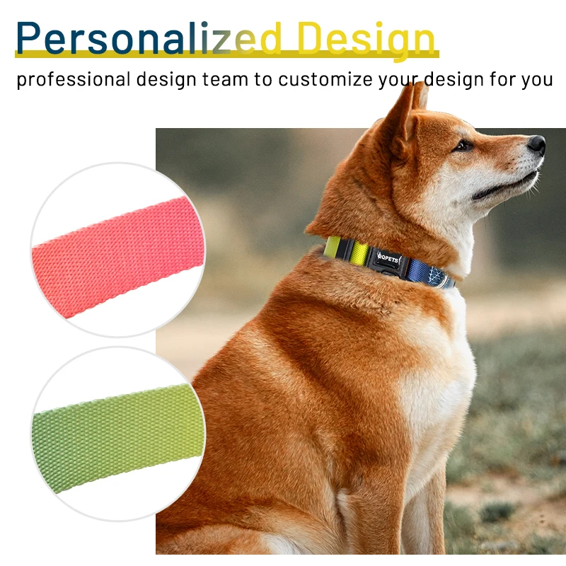 Top pet products multi gradient color adjustable pet dog collar nylon webbing custom solid color rainbow dog collar
